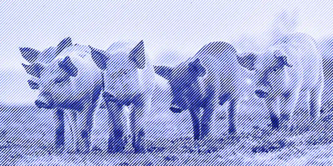 Meat Industry Facts Growth & Profitability AINSIGHTS